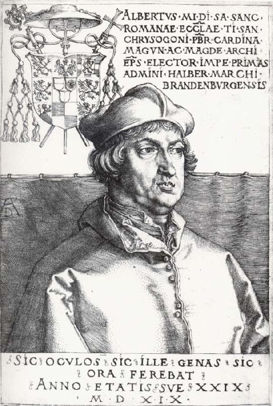 Albrecht Durer Cardinal Albrecht of Bran-Denburg oil painting image